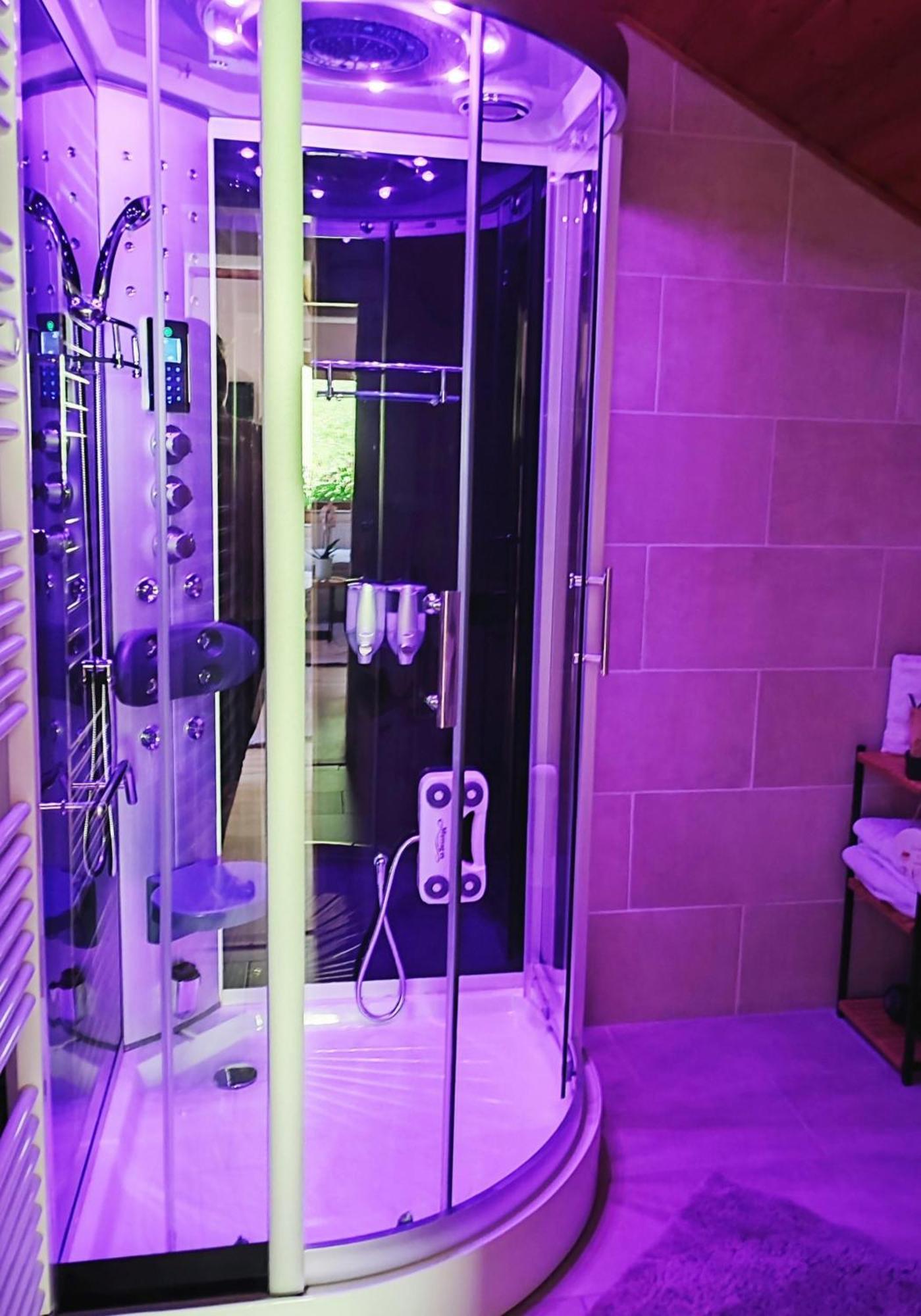 Villa Bischofsberg - Laerchen-Wellness Apartment 윈디슈가르스텐 외부 사진